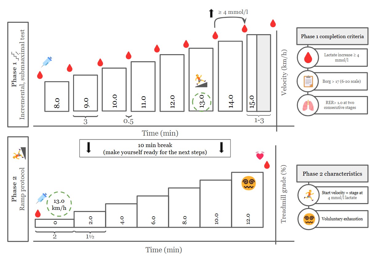 diagram over trappe max-teststen på løbebånd